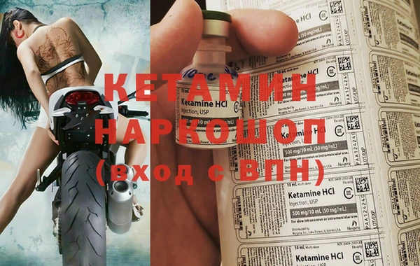 прущие грибы Железногорск-Илимский