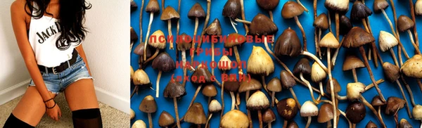 марки nbome Алексеевка