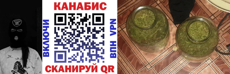 Каннабис гибрид  Катайск 